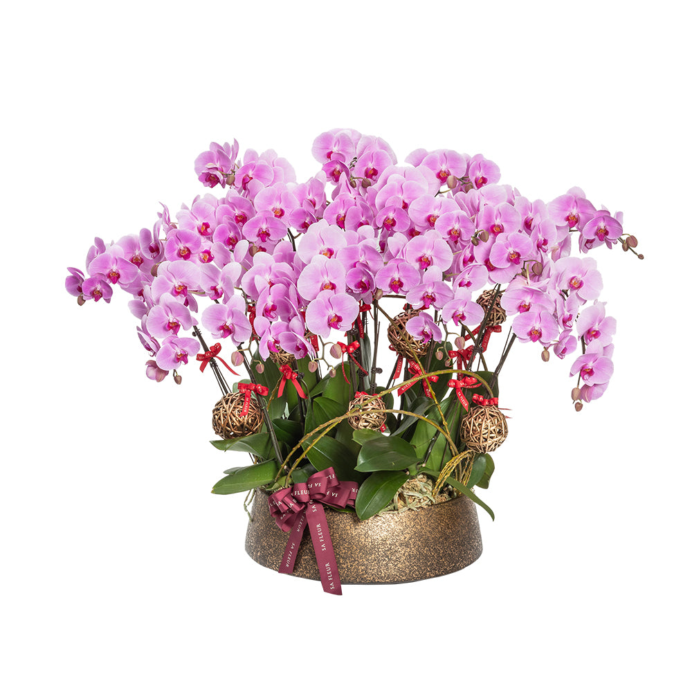 Mary Jurek Symphony Pink Orchid Bowl, SYPH005.8-N